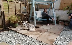 The Garden Room, Pets, Fridge Tv